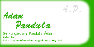 adam pandula business card